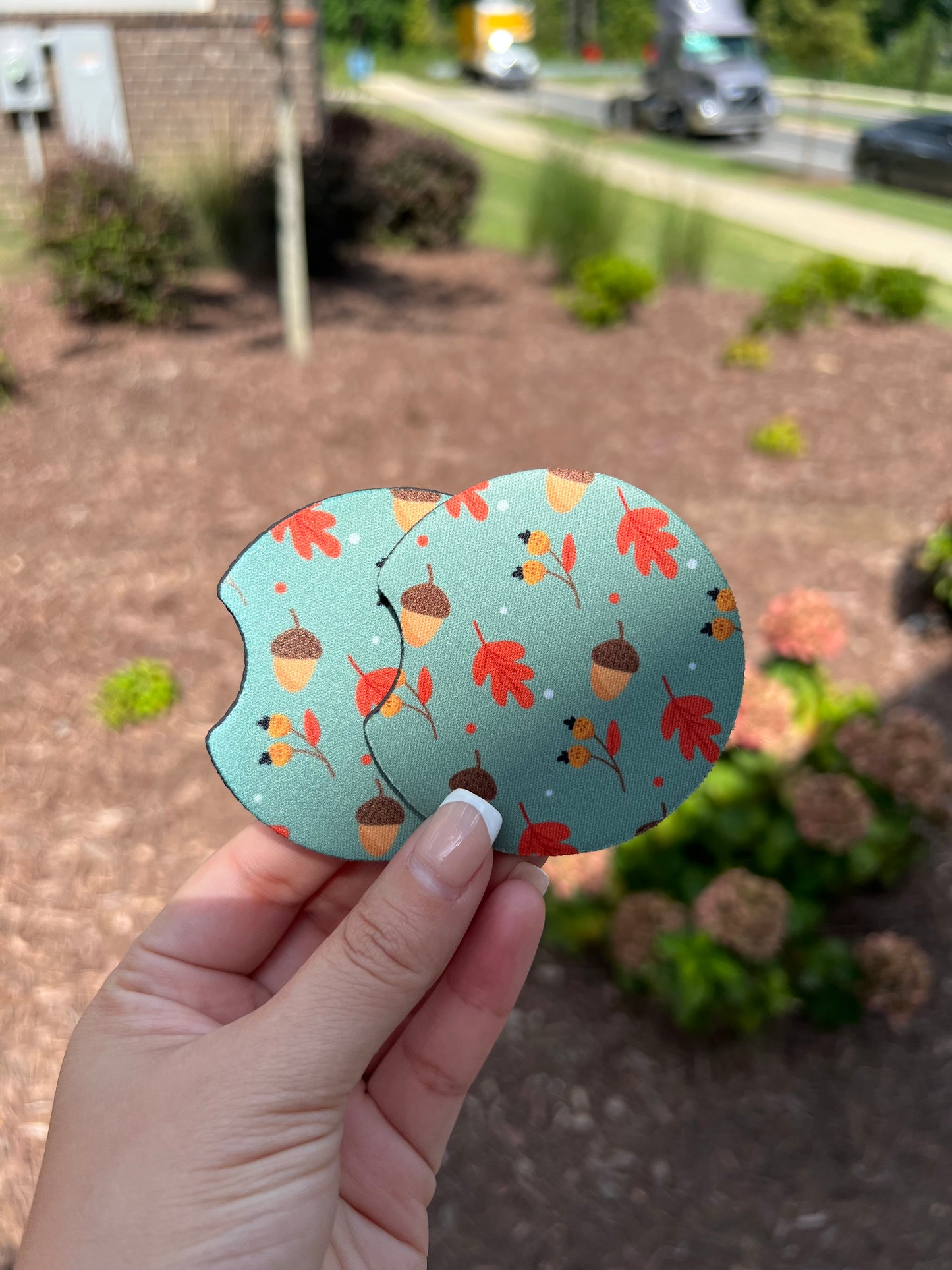 Fall | Car Coasters